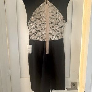 Black halo lace back dress